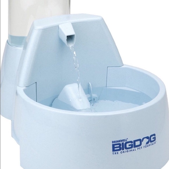 pet water bowl