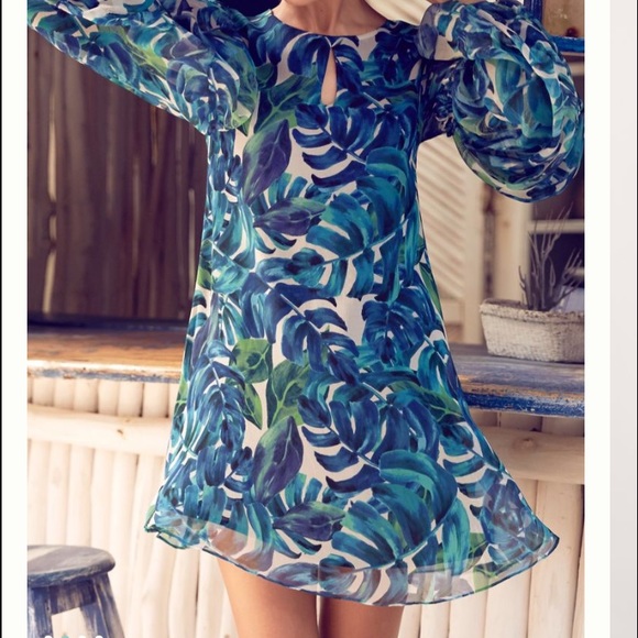 Anthropologie Chloe Oliver Dress XS - Picture 2 of 4