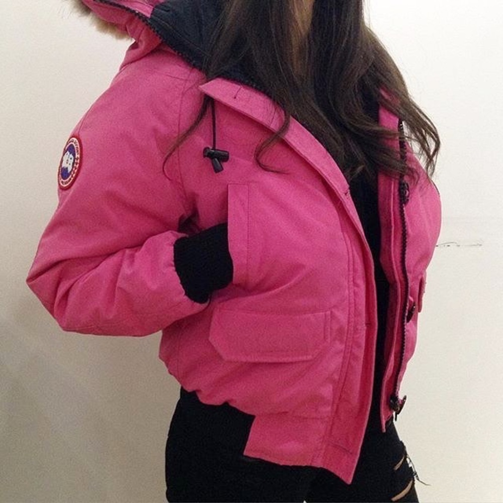 Canada goose