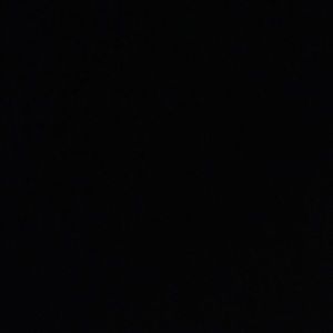 Meet your Posher, Bonnie