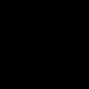 Meet your Posher, Jamar