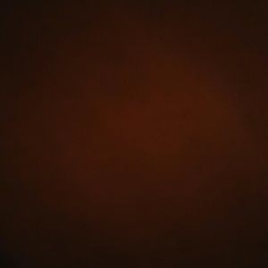 Meet your Posher, Destiney