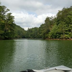 Meet your Posher, Jodey