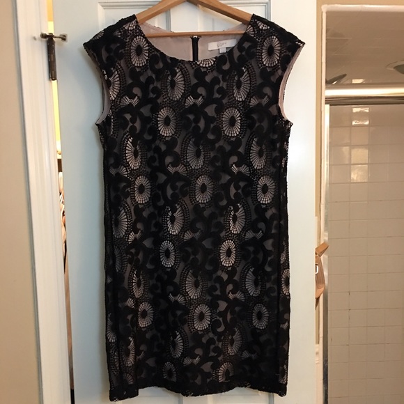 ann taylor loft lace shift dress NEW Ann Taylor LOFT
