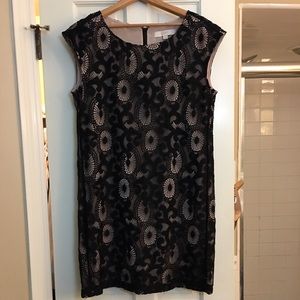 Ann Taylor LOFT Black lace shift dress