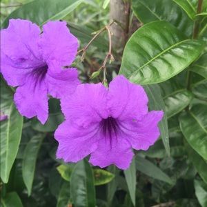 Meet your Posher, Lorissa