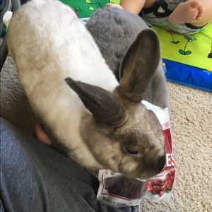 Meet your Posher, Mary