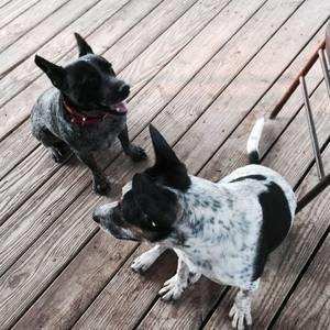 Meet your Posher, Annette