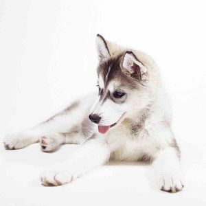 Meet your Posher, Summer