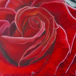 Meet your Posher, Rosa