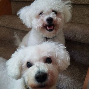 Meet your Posher, Agnieszka