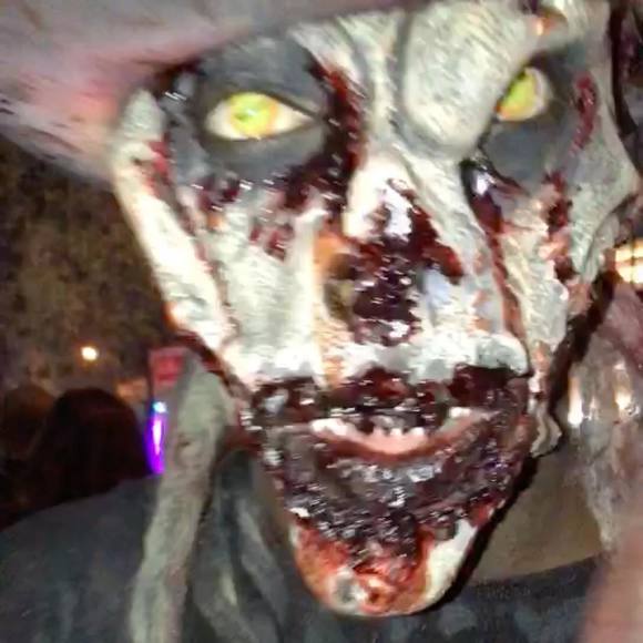 Meet your Posher, Jaime - Picture 1 of 1