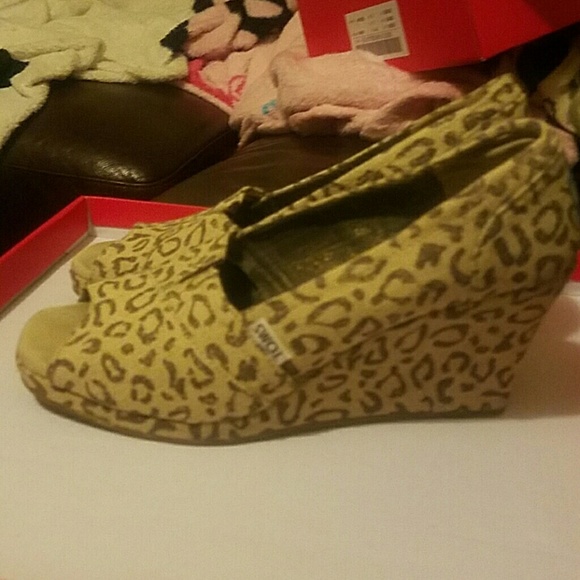 TOMS - Picture 2 of 4