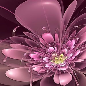 Meet your Posher, Joanne