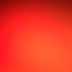 Meet your Posher, Lexi