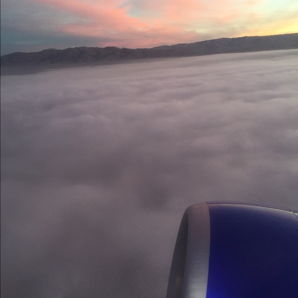 Meet your Posher, Sissy - Picture 1 of 1