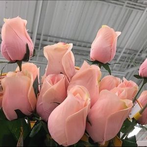 Meet your Posher, Katelyn