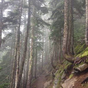 Meet your Posher, Ian