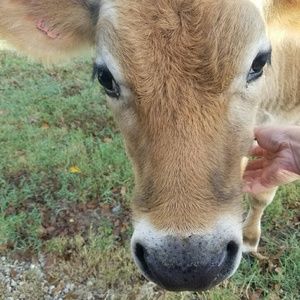 Meet your Posher, Shelly