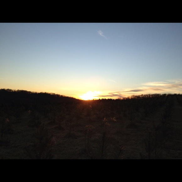 Meet your Posher, Andrea - Picture 1 of 1