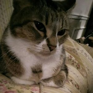 Meet your Posher, Juli