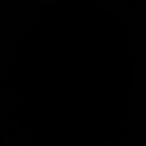 Meet your Posher, Cynthia