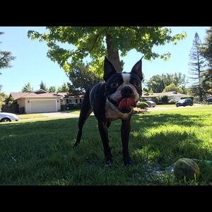 Meet your Posher, Sam