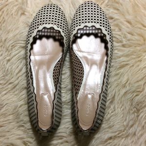 Chloe perforated scallop flat