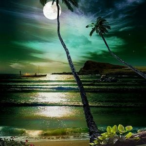 Meet your Posher, Kristi