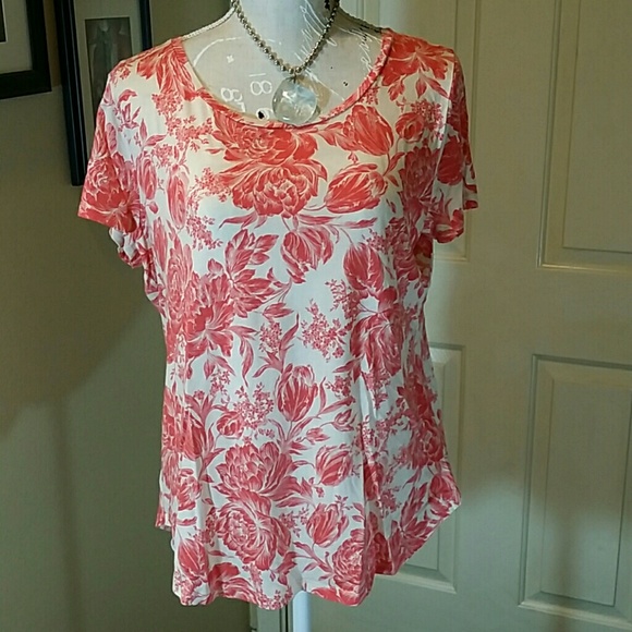Ann Taylor Cotton T Shirt