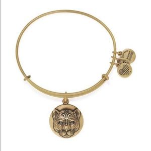 Alex & Ani Wild Heart Charm Bangle