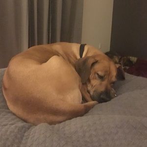 Meet your Posher, Kelli