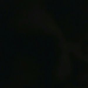 Meet your Posher, Priscilla