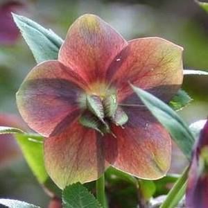 Meet your Posher, Kristina