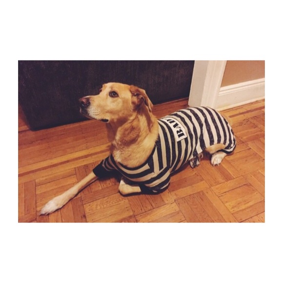 Bad Dog Jail Large Dog Costume - Picture 3 of 4