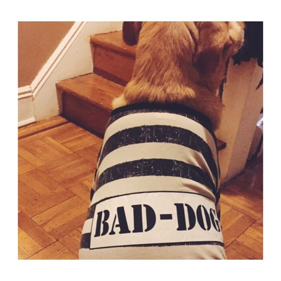 Bad Dog Jail Large Dog Costume - Picture 4 of 4