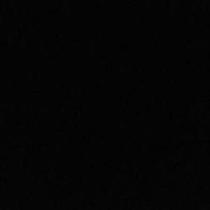 Meet your Posher, Jessuni