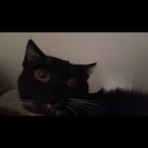 Meet your Posher, Chloe