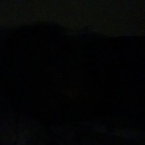 Meet your Posher, Bjoun