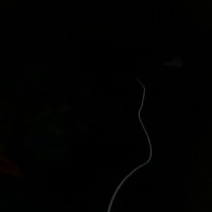 Meet your Posher, Larry