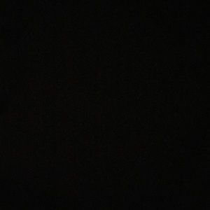 Meet your Posher, Beau