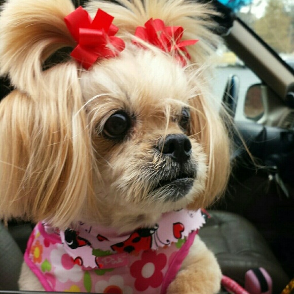 Meet your Posher, Kellie - Picture 1 of 1