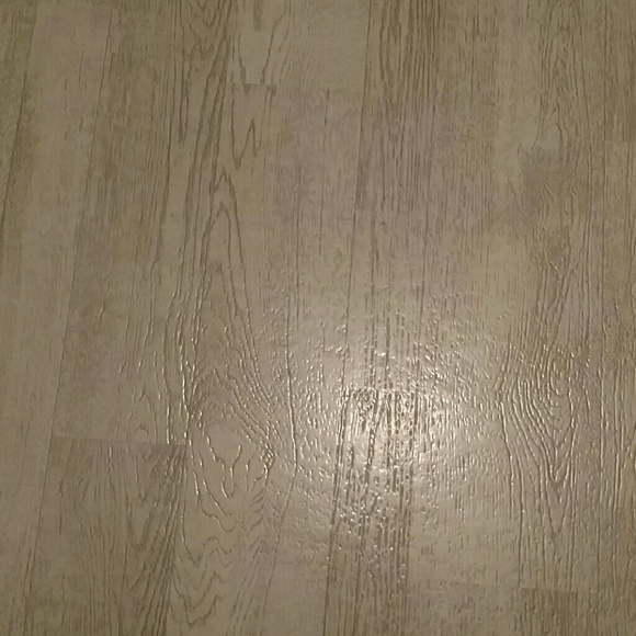 Meet your Posher, Winston - Picture 1 of 1