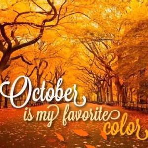 Meet your Posher, Sondae