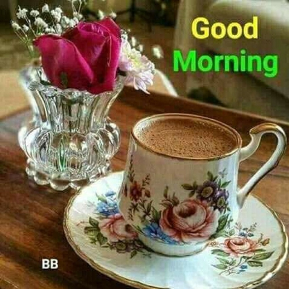 Meet your Posher, Marlyn