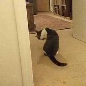 Meet your Posher, Dana