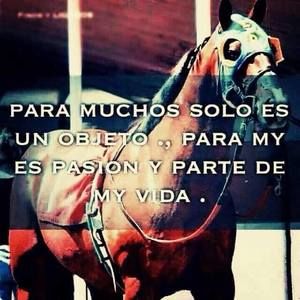 Meet your Posher, Lorena