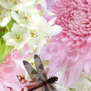 Meet your Posher, Barbara