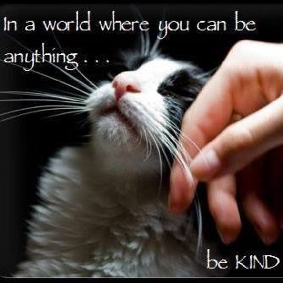 Meet your Posher, Pat