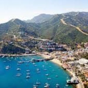 Meet your Posher, Toni-anne